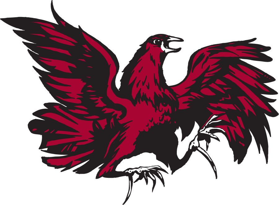South Carolina Gamecocks 1961-1966 Primary Logo diy iron on heat transfer
